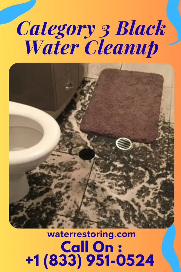 Category 3 Black Water Cleanup in Copake Lake, NY