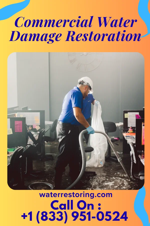 Commercial Water Damage Restoration in Copake Lake, NY