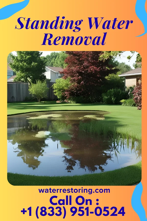 Standing Water Removal in Copake Lake, NY